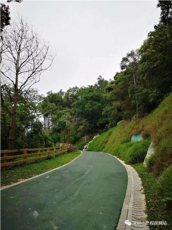 山水綠園一房一廳56平方，56.8萬/套起