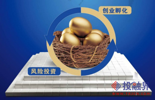 風(fēng)險投資公司為一專業(yè)的投資公司