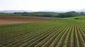 對(duì)于房屋沒(méi)有正規(guī)手續(xù)的居民表示無(wú)法接受