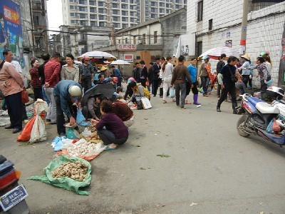 墻角旮旯里到處貼滿(mǎn)了出租房屋的小廣告