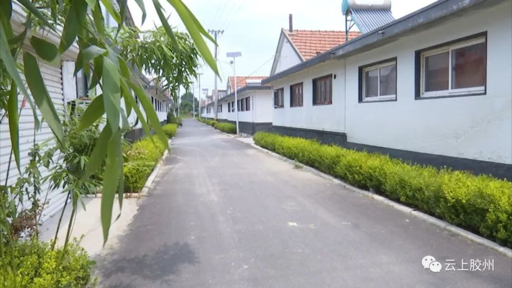 膠州市住房和城鄉建設局正在加快手續辦理