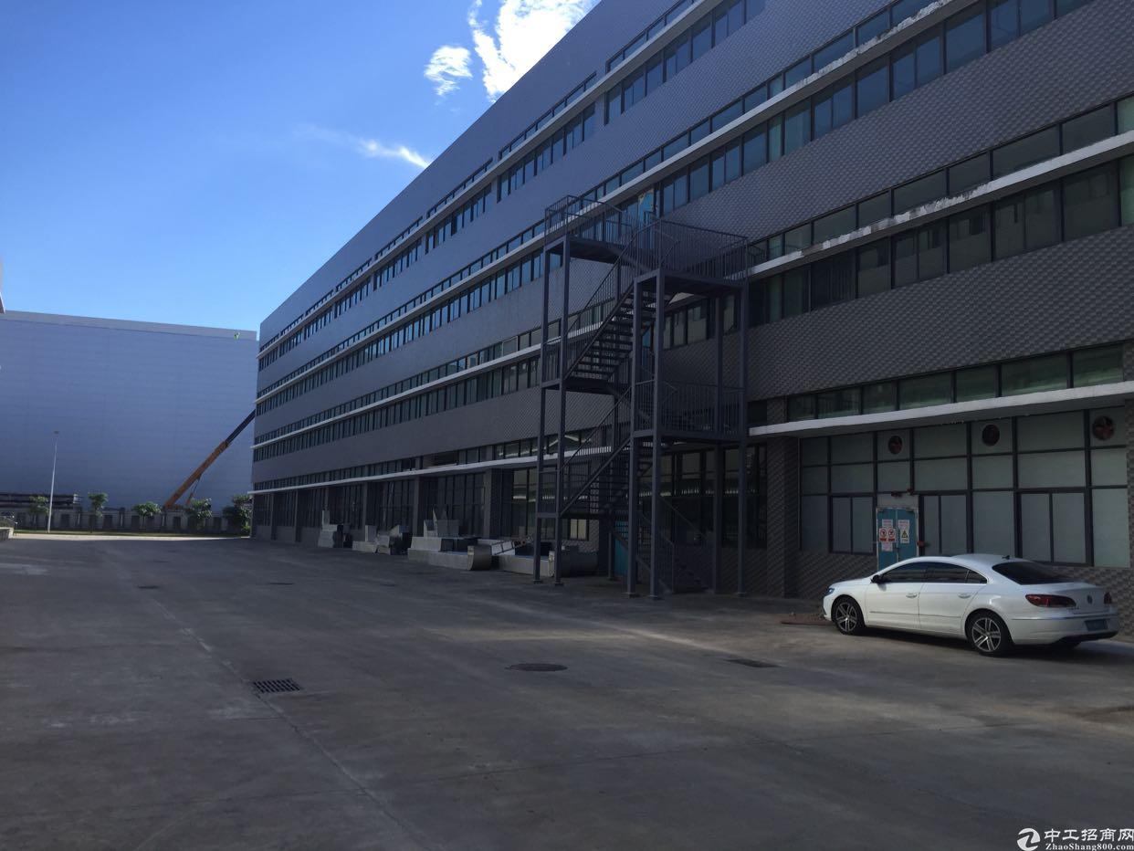 光明中心區舊糖廠舊改項目正在推進