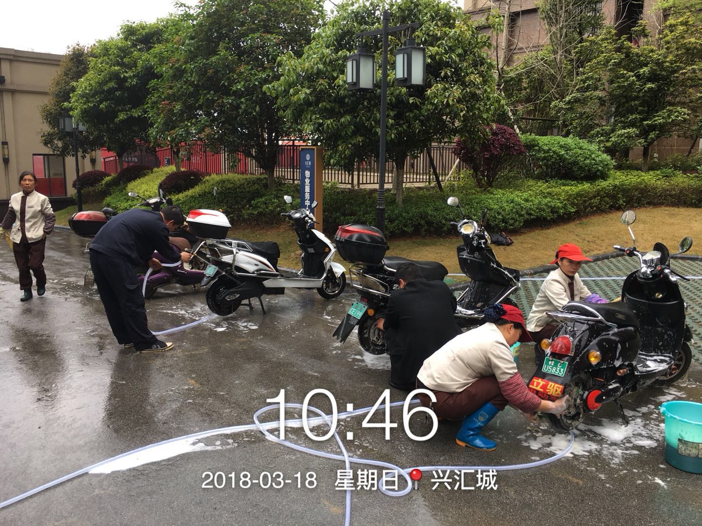 物業(yè)會定期免費為業(yè)主清洗汽車和電單車