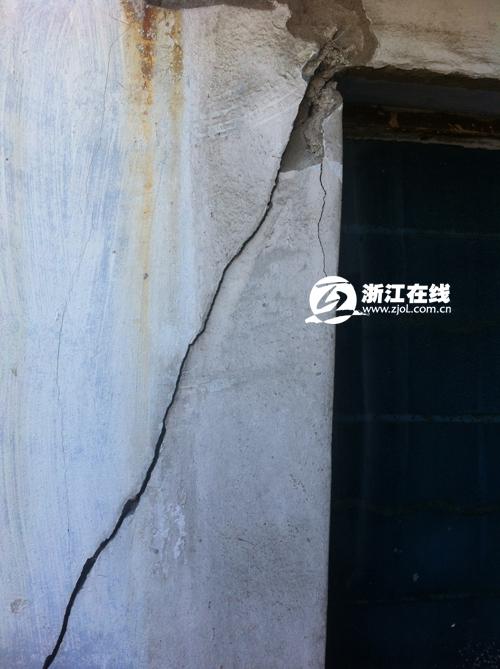 樹齡應(yīng)該比學(xué)校的歷史還長(zhǎng)